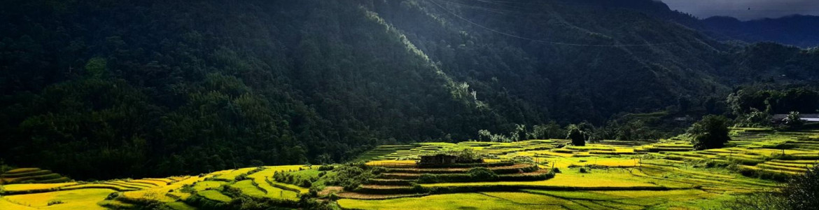 Tour Sapa - Ý Linh Hồ - Lao Chải - Tả Van - Cát Cát - Sín Chải 2 ngày 1 đêm