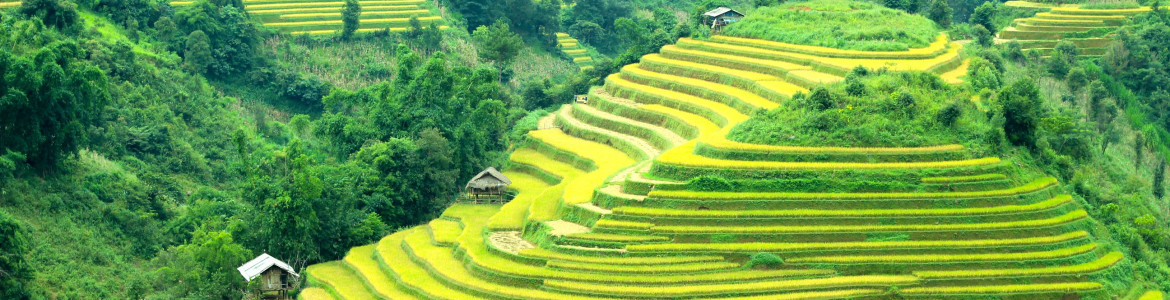 Tour Sapa 3 ngày 4 đêm (1 đêm ở khách sạn, 1 đêm ở homestay)