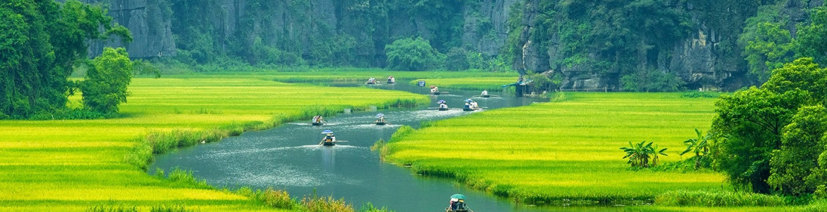 Tour Hoa Lư - Tam Cốc 1 ngày