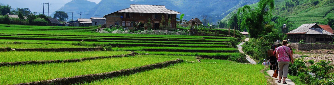 Tour Sapa 2 ngày 1 đêm: Cát Cát - Thác Thủy Điện - Tả Van - Cầu Mây - Thung lũng Mường Hoa 