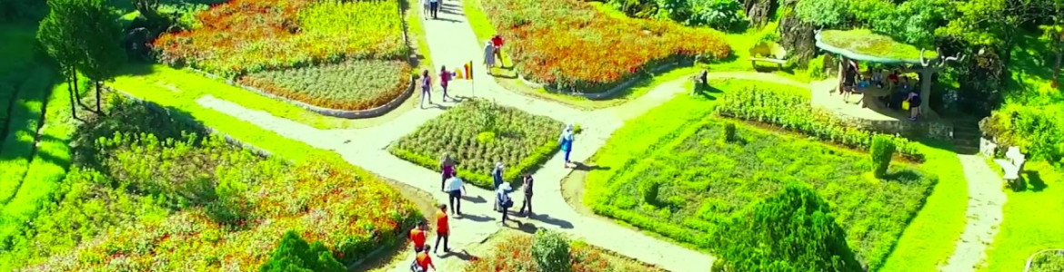 Tour Sapa 3 ngày 2 đêm: Sapa - Suối Tiên Sa - Núi Hàm Rồng - Tự do