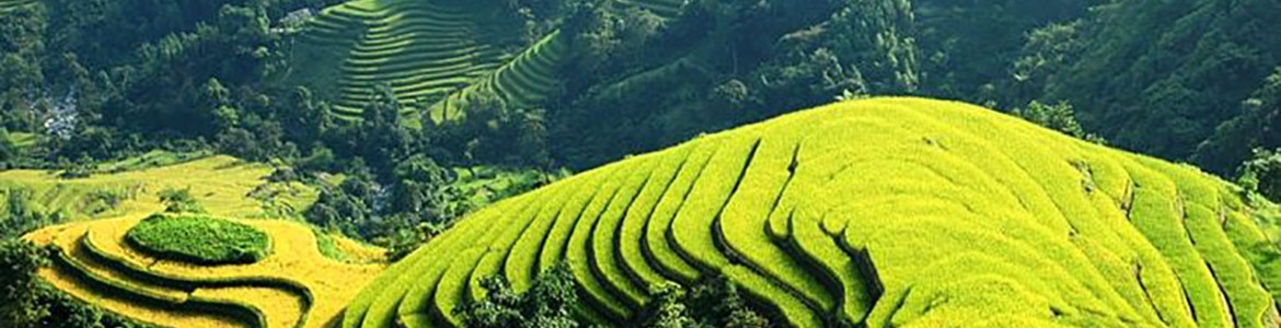 Tour Trọn gói 3 ngày 4 đêm: Hà Nội - Sapa - Lao Chải - Tả Van - Bản Hồ - Lào Cai - Hà Nội