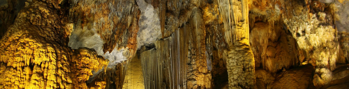 Tour Ninh Bình - Bái Đính - Tràng An - Cúc Phương 2 ngày 1 đêm