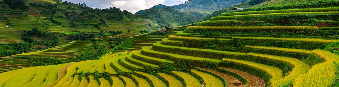 Tour Sapa - Easy trekking 2 ngày 3 đêm (Option 1)