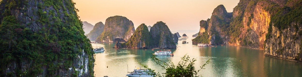 Tour Vịnh Hạ Long tàu Alova Gold 2 ngày 1 đêm