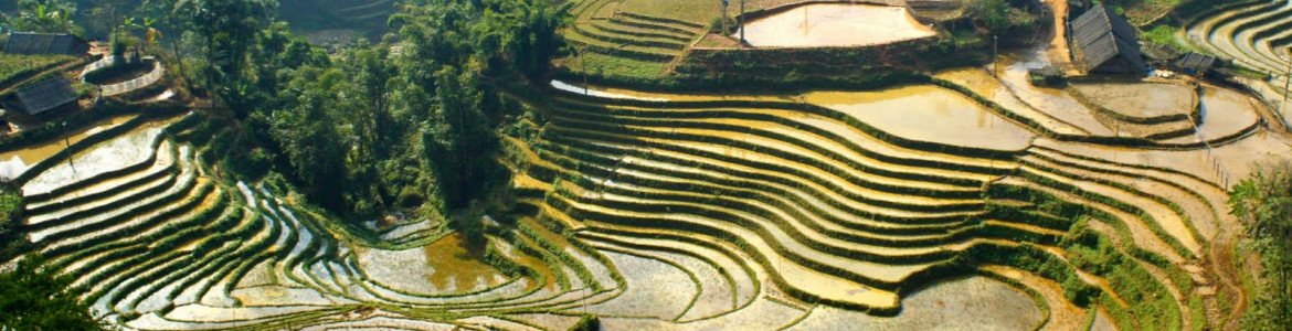 Tour Sapa đẹp như tranh vẽ 2 ngày 3 đêm