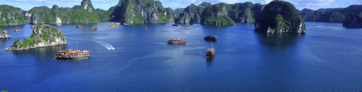 Tour Vịnh Hạ Long tàu Indochina Sail 2 ngày 1 đêm