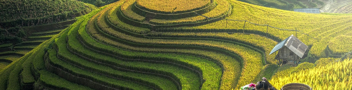 Tour Tiết kiệm: Hà Nội - Lào Cai - Sapa - Chinh phục nóc nhà Đông Dương Fansipan - Yên Tử - Hạ Long - Bái Đính - Tràng An 6 ngày 5 đêm